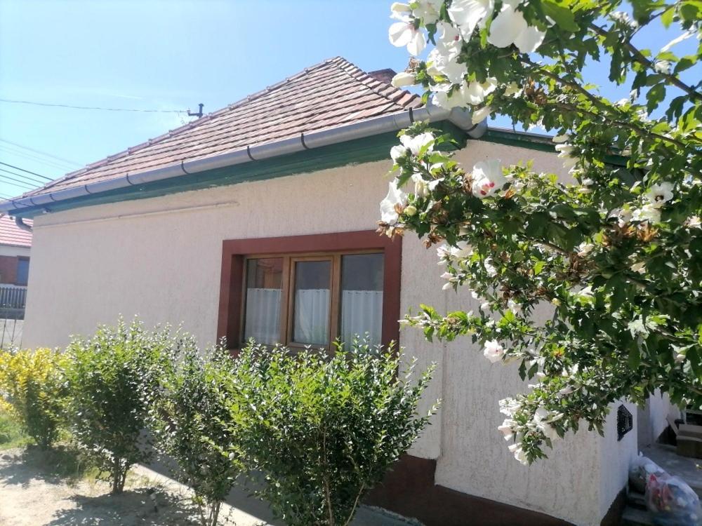 Lankás Vendégház - Hollókő Exterior foto